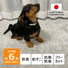 �J�[�y�b�g �Z�� �Ɍ� �h���y�b�g����낱�� �]�ˊ� 6�� 261�~352cm ���� �h�_�j �ۊ����ۊ� �R�ۖh�L �� �L �y�b�g�Ή�  �O���[ �}�b�g 