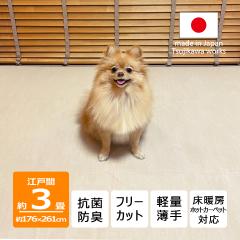 �J�[�y�b�g 3�� �O�� �� �L �y�b�g�Ή� ���{�� �R�ۖh�L �y�ʔ��� �r�I�� 176�~261cm �]�ˊ� 3���p 3�� �Ґ�Y�Ɗ������ Tsujikawa