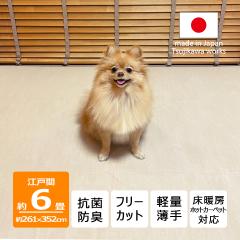�J�[�y�b�g 6�� �Z�� �� �L �y�b�g�Ή� ���{�� �R�ۖh�L �y�ʔ��� �r�I�� 261�~352cm �]�ˊ� 6���p 6�� �Ґ�Y�Ɗ������ Tsujikawa