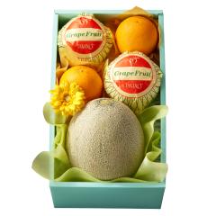 ���� �V�h���� ���̓� ���������V�g���X #93255