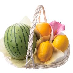 ���� �V�h���� ��̓� �t���[�c�o���G�e�B�[E #93521