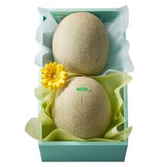 ���� �V�h���� ���̓� �������R���r #93736