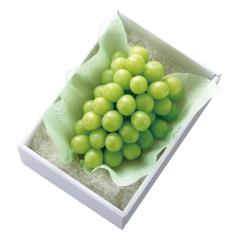 ���� �V�h���� ���̓� �}�X�J�b�g�I�u�A���L�T���h���A #93743