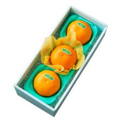 ���� �V�h���� ���Ƃ�3�� #29100