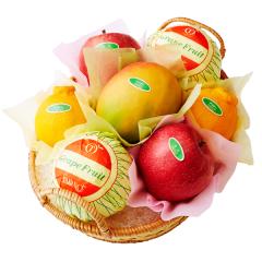 ���� �V�h���� �t���[�c�o���G�e�B�[JW #29100 |�ʕ� �������� ������ �t���[�c ���j�� ���j�� ���� ���Ԃ� �������j�� �V�z���j�� 