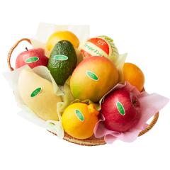 ���� �V�h���� �t���[�c�o���G�e�B�[KW #29100 |�ʕ� �������� ������ �t���[�c ���j�� ���j�� ���� ���Ԃ� �������j�� �V�z���j�� 