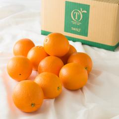 ���� �V�h���� Day Fruit �f�C�t���[�c �I�����WB #29100�b����p ������ �M�t�g �ʕ� ���j�� �t���[�c�M�t�g ���z�����j�� �V�z���j�� 