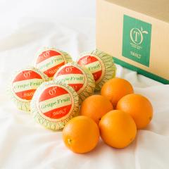 ���� �V�h���� Day Fruit �f�C�t���[�c�V�g���X#29100�b����p ������ �M�t�g �ʕ� ���j�� �t���[�c�M�t�g ���z�����j�� �V�z���j�� �J�X