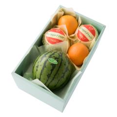 ���� �V�h���� �ЂƂ肶�ߐ��Z���{��D #29100