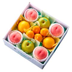 ���� �V�h���� �T�}�[�t���[�c�Z�b�gB #53235