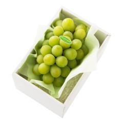 ���� �V�h���� �}�X�J�b�g�I�u�A���L�T���h���A1��E #29100