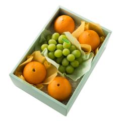 ���� �V�h���� �}�X�J�b�g�I�u�A���L�T���h���A���{��E #29100