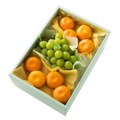���� �V�h���� �}�X�J�b�g�I�u�A���L�T���h���A���{��F #29100