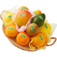 ���� �V�h���� �t���[�c�o���G�e�B�[VW #29100