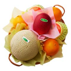 ���� �V�h���� �t���[�c�o���G�e�B�[MS #29100