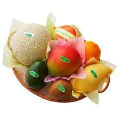 ���� �V�h���� �t���[�c�o���G�e�B�[NS #29100