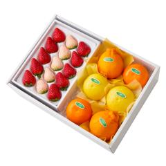 ���� �V�h���� �g�����������{��C #29100