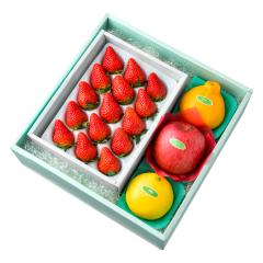 ���� �V�h���� �X�g���x���[�Z�b�gEL #29100