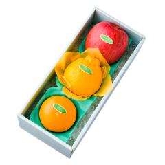 ���� �V�h���� �f�R�|�����{��A #29100