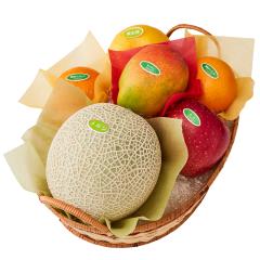 ���� �V�h���� �������o���G�e�B�[A #29100