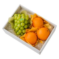 ���� �V�h���� �}�X�J�b�g�I�u�A���L�T���h���A���{��K #29100