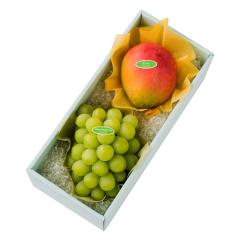 ���� �V�h���� �}�X�J�b�g�I�u�A���L�T���h���A���{��L #29100