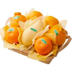 ���� �V�h���� �t���[�c�o���G�e�B�[W4 #29100