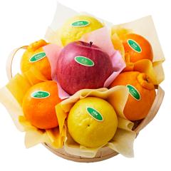 ���� �V�h���� �t���[�c�o���G�e�B�[W5 #29100