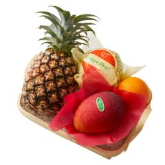 ���� �V�h����  �{��}���S�[�o���G�e�B�[B #29100