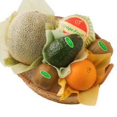 ���� �V�h���� �C�o���L���O �������t���[�c�o���G�e�B�[EA  #29100 |�ʕ� �������� ������ �t���[�c ���j�� ���j�� ���� ���Ԃ� ��