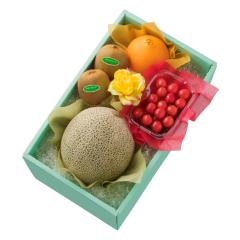 ���� �V�h���� ���̓��t���[�c�M�t�gED #29100