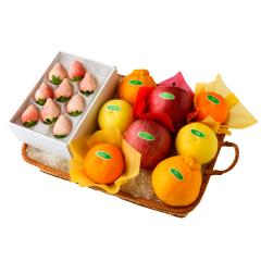 ���� �V�h���� �����̍���9�o�X�P�b�gB #29100