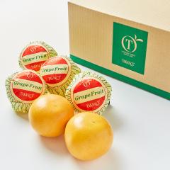 ���� �V�h���� Day Fruit �f�C�t���[�c �O���[�v�t���[�cA #29100�b����p ������ �M�t�g �ʕ� ���j��  ���z�����j�� �V�z���j�� �J�X��