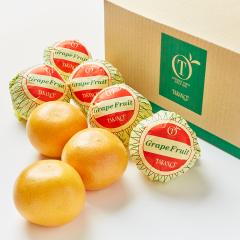 ���� �V�h���� Day Fruit �f�C�t���[�c �O���[�v�t���[�cB #29100�b����p ������ �M�t�g �ʕ� ���j�� ���z�����j�� �V�z���j�� �J�X���j