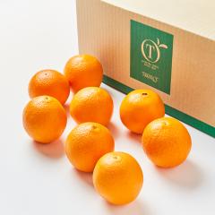 ���� �V�h���� Day Fruit �f�C�t���[�c �I�����WA #29100�b����p ������ �M�t�g �ʕ� ���j�� �t���[�c�M�t�g ���z�����j�� �V�z���j�� 