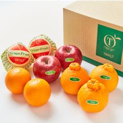 ���� �V�h���� �V�F�A�t���[�cI #29100�b����p ������ �M�t�g �ʕ� ���j�� �t���[�c�M�t�g ���z�����j�� �V�z���j�� �J�X���j�� ������