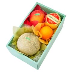 ���� �V�h���� �A���f�X�������M�t�gF #29100