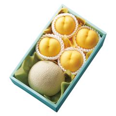 ���� �V�h���� �������������� #22033
