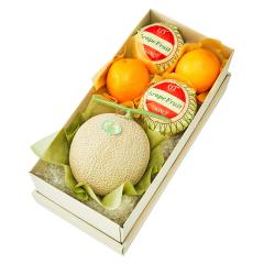 ���� �V�h���� �}�X�N���������V�g���X�R���r #29100|�ʕ� ��������  �t���[�c ���j�� ���j�� ���Ԃ� �������j�� �V�z���j�� ���� �o�Y��