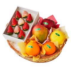 ���� �V�h���� �g���������o���G�e�B�[B #29100