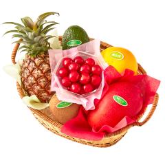 ���� �V�h���� �������ڃo�X�P�b�g�M�t�gD #29100