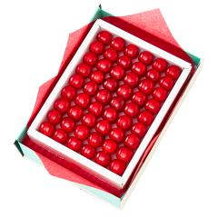 ���� �V�h���� �������ځi���ϔ����j#29100