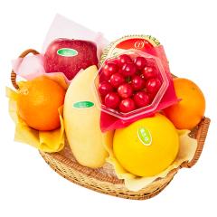 ���� �V�h���� �������ڃo�X�P�b�g�M�t�gH #29100