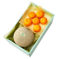 ���� �V�h���� �C�o���L���O���������{��E  #29100 |�ʕ� �������� ������ �t���[�c ���j�� ���j�� ���� ���Ԃ� �������j�� �V�z���j