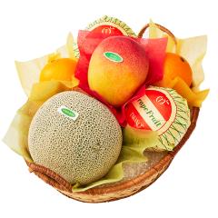 ���� �V�h���� �C�o���L���O�������t���[�c�o���G�e�B�[EC  #29100 |�ʕ� �������� ������ �t���[�c ���j�� ���j�� ���� ���Ԃ� ����