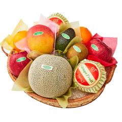 ���� �V�h���� �C�o���L���O�������t���[�c�o���G�e�B�[ED  #29100 |�ʕ� �������� ������ �t���[�c ���j�� ���j�� ���� ���Ԃ� ����