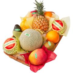 ���� �V�h���� �C�o���L���O�������t���[�c�o���G�e�B�[EE  #29100 |�ʕ� �������� ������ �t���[�c ���j�� ���j�� ���� ���Ԃ� ����