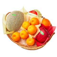 ���� �V�h���� �^�J�~�������o���G�e�B�[C #29100