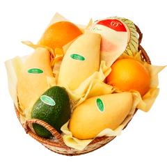 ���� �V�h���� �^�C�}���S�[�o���G�e�B�[B  #29100 |�ʕ� �������� ������ �t���[�c ���j�� ���j�� ���� ���Ԃ� �������j�� �V�z���j