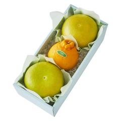 ���� �V�h���� �����S�[���h���{��F #29100 | �ʕ� �������� �t���[�c ���j�� ���j�� ���� ���Ԃ� �������j�� �o�Y���j�� �V�z���j�� ��